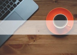 国产老鸭窝,传统工艺与现代生活的完美融合